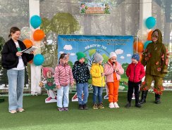img (4)